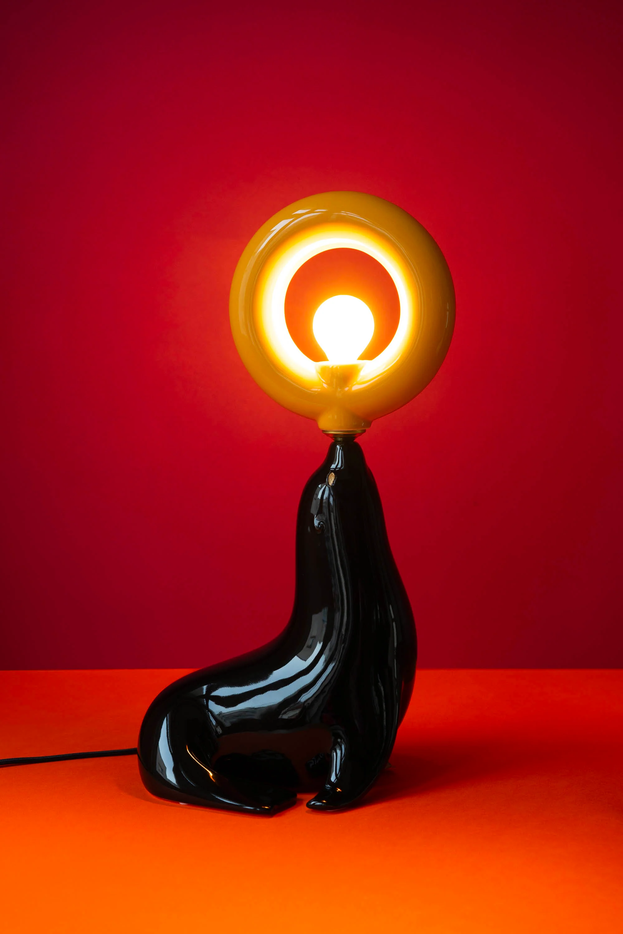 Image du produit 12